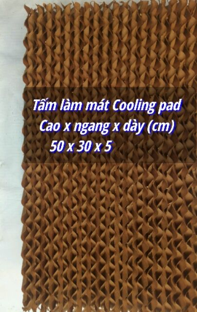 Combo 2 Tấm làm mát Cooling pad 50*30*5