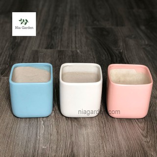 Chậu vuông gốm sứ trồng cây cảnh, lá may mắn, lưỡi hổ