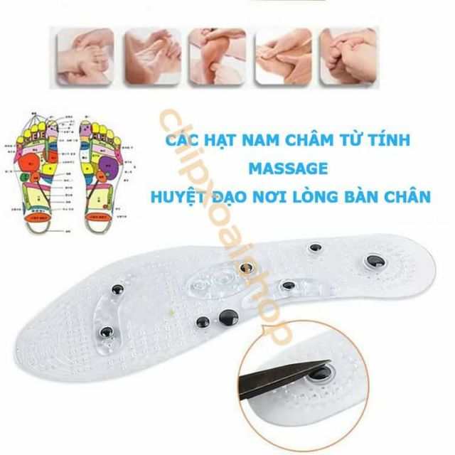 Lót Giày Massage Từ Tính Huyệt Đạo Lòng Bàn Chân