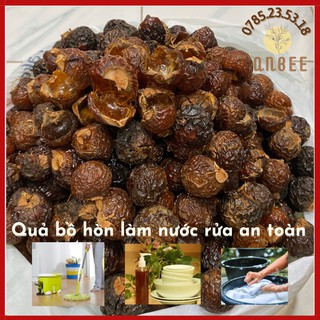 Quả bồ hòn khô