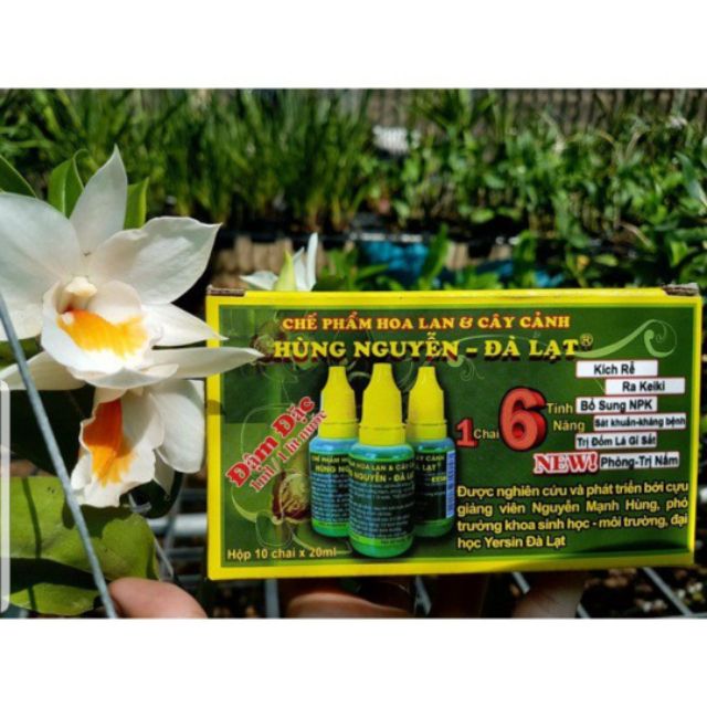 1 hộp siêu kích rễ, kích kie Hùng Nguyễn 10 chai x 20 ml