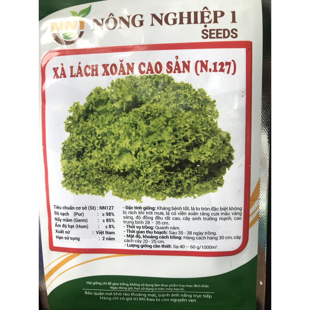 Xà lách xoăn cao sản (N.127)