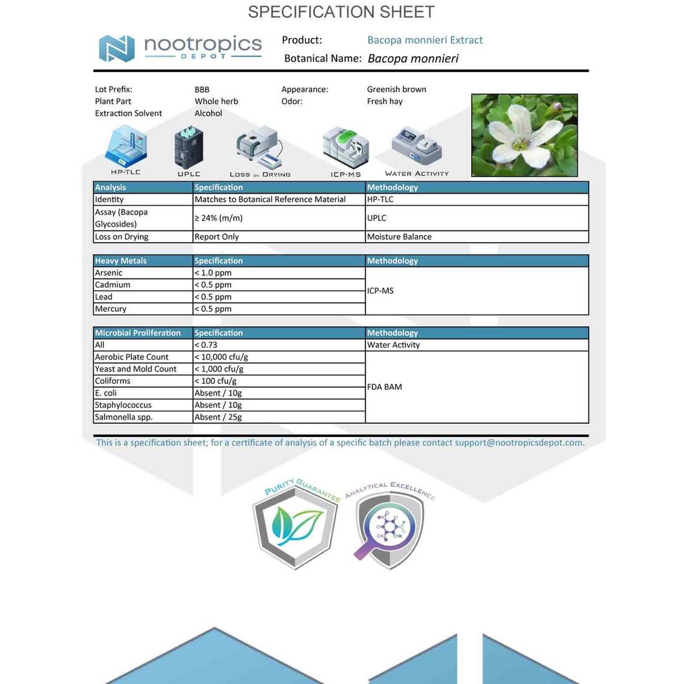 Viên bổ não Bacopa Monnieri tái tạo thần kinh, giảm căng thẳng
