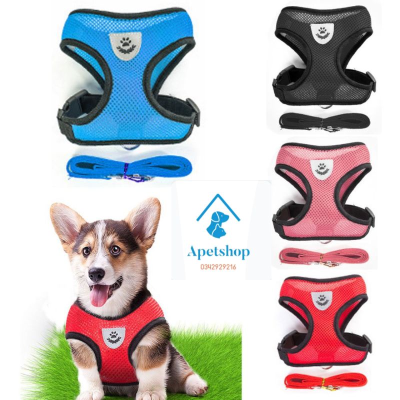 Dây dắt kèm yếm ngực chó mèo cưng đi dạo, Đai yếm áo Vest cho chó vải lưới thoáng khí nhiều màu sắc hot trend 2023