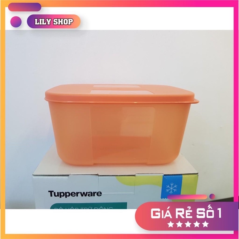 Hộp đông Rainbow 650ml - Hàng chính hãng Tupperware Việt Nam phân phối