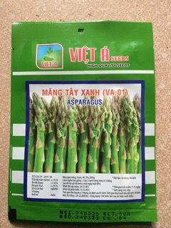 Hạt Giống Măng Tây Xanh