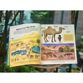 Sách - Bách khoa tri thức cho trẻ em Usborne