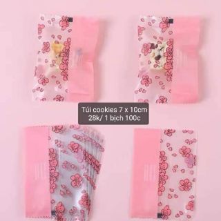 Túi đựng bánh cookie, bánh hành...
