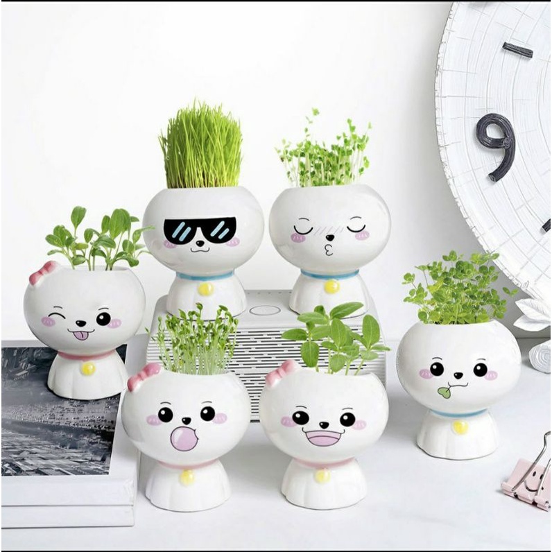 Chậu kiểng mini trang trí bàn trà/phòng khách - tặng kèm hạt giống