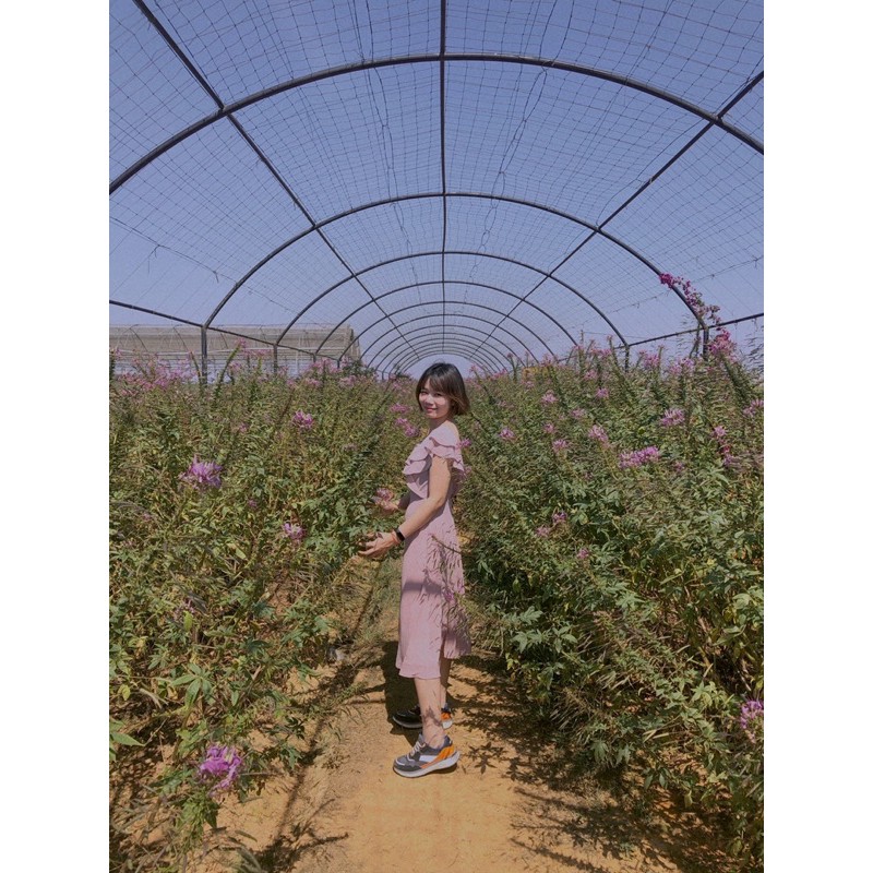 Thanh lý đầm của Poxi mới 99% size S