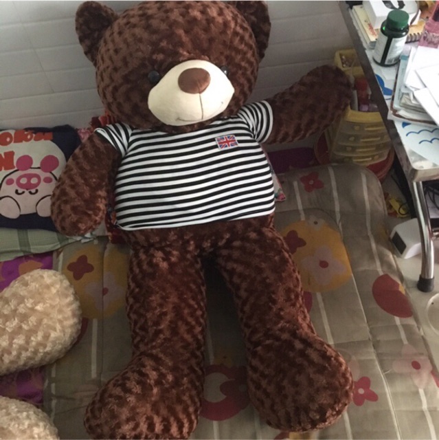 Gấu teddy khổ vải 1m5