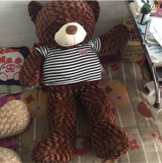Gấu teddy khổ vải 1m5