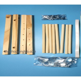 Đồ chơi con lắc vật lý Newton - Kit stem