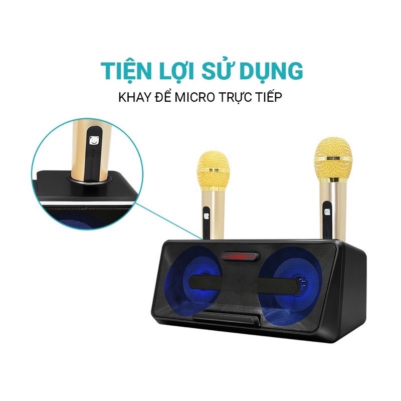 Loa karaoke SDRD 301 kèm hai mic không dây cao cấp