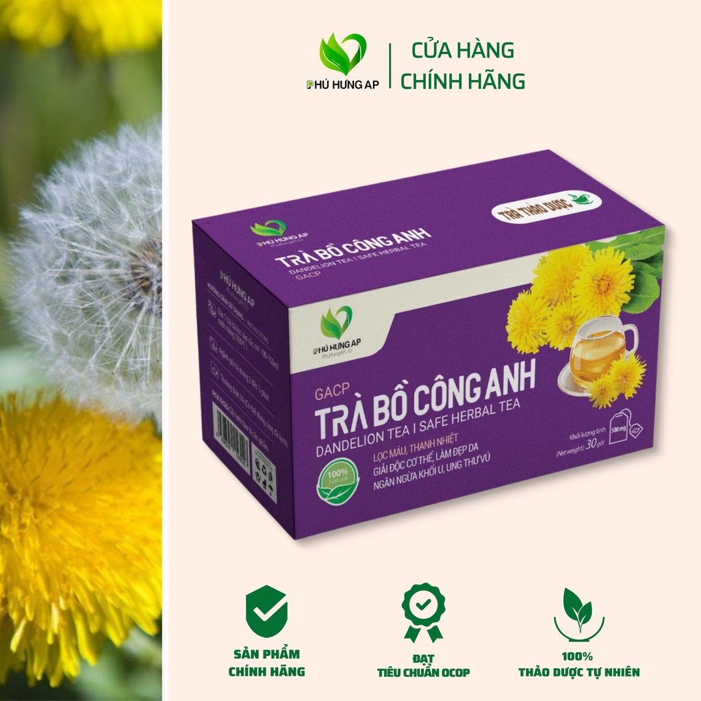 Trà bồ công anh túi lọc, giúp lợi sữa, giảm mụn nhọt, thanh nhiệt giải độc, trà thảo dược AP Phú Hưng