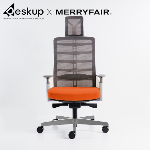 Ghế Công Thái Học Spinelly Nhập Khẩu Malaysia, Hồ Trợ Cột Sống Lưng