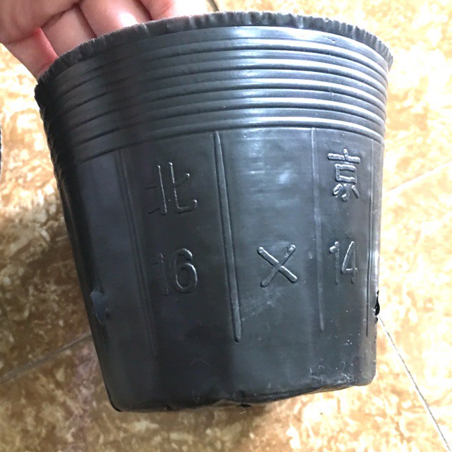 - 1kg túi bầu ươm cây các size nhập.