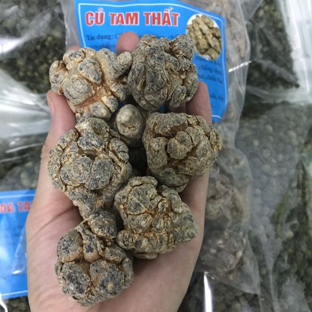 Tam thất bắc khô 100g | BigBuy360 - bigbuy360.vn