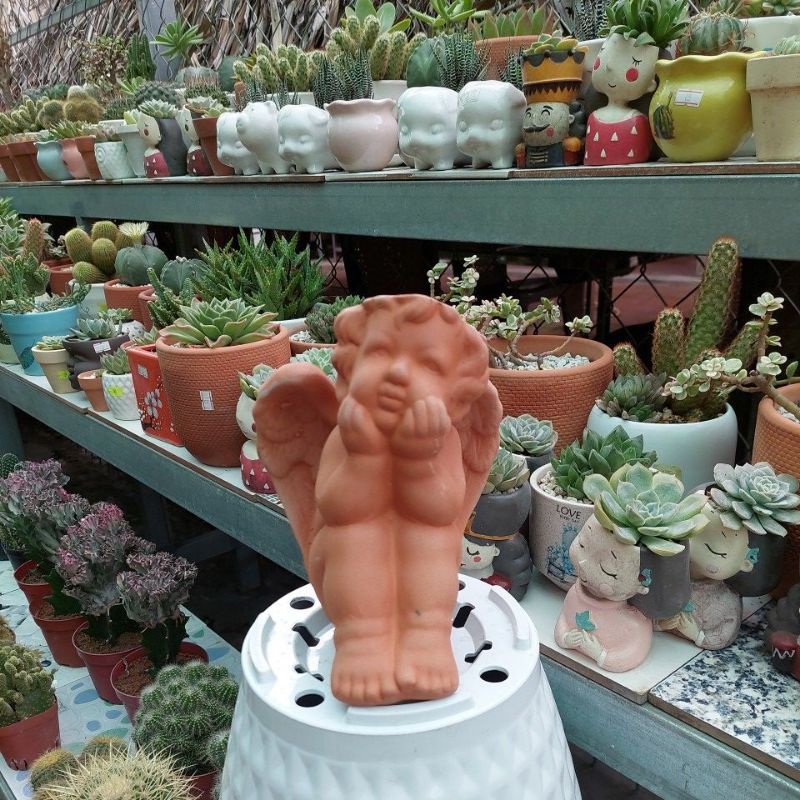 Chậu đất nung, Chậu sen đá, thiên thần, đường kính miệng chậu 7cm, chiều cao 20cm