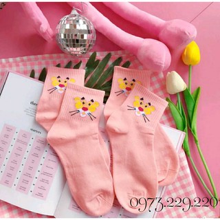 Tất Báo Hồng Pink Panther