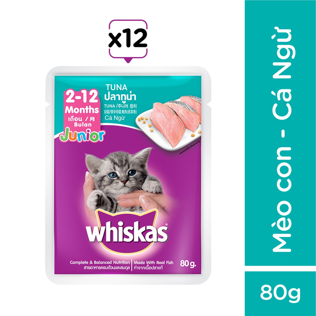 PATE VỊ CÁ NGỪ WHISKAS JUNIOR TUNA DÀNH CHO MÈO CON TỪ 2 ĐẾN 12 THÁNG TUỔI