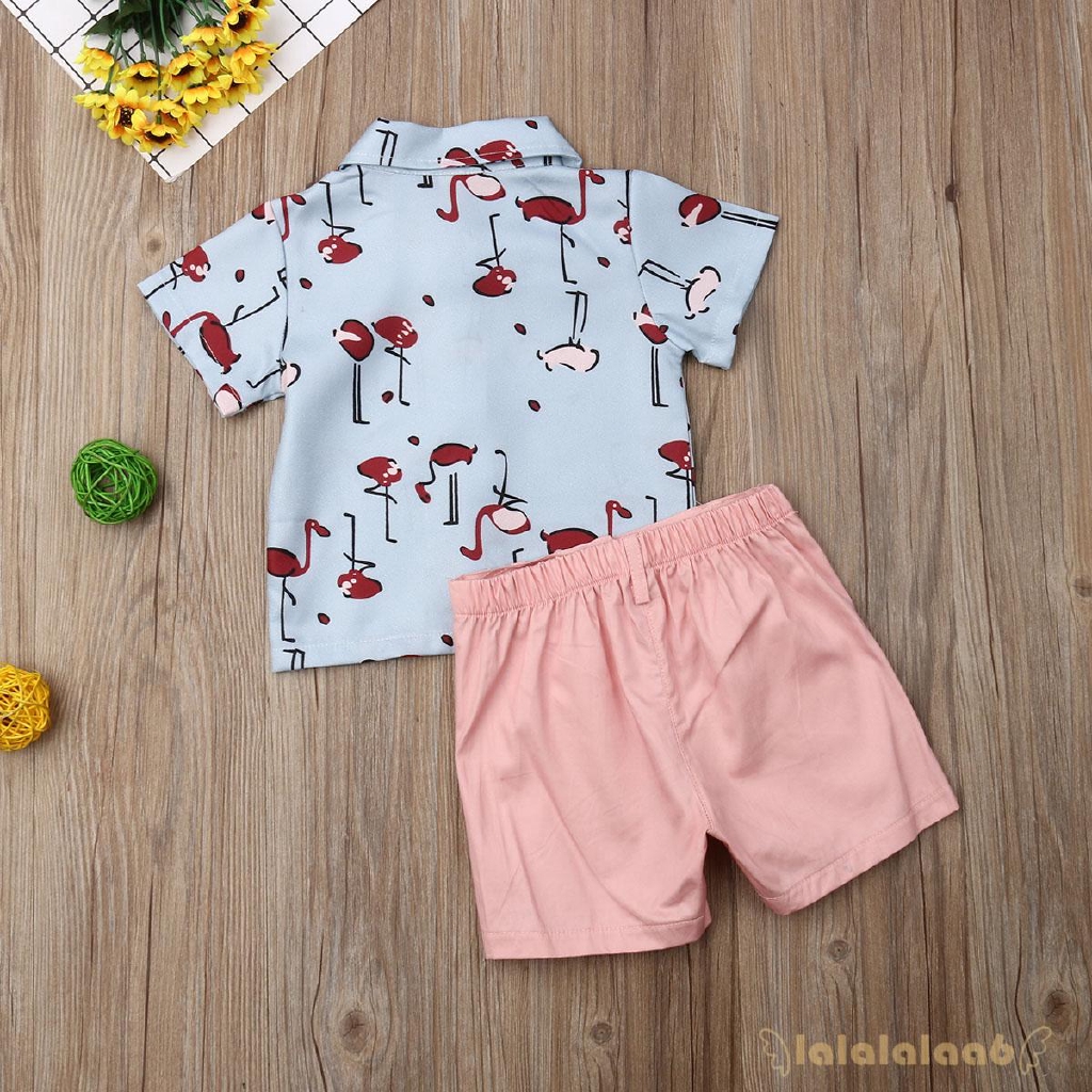 Set áo sơ mi ngắn tay + quần short lưng thun họa tiết hồng hạc dành cho bé