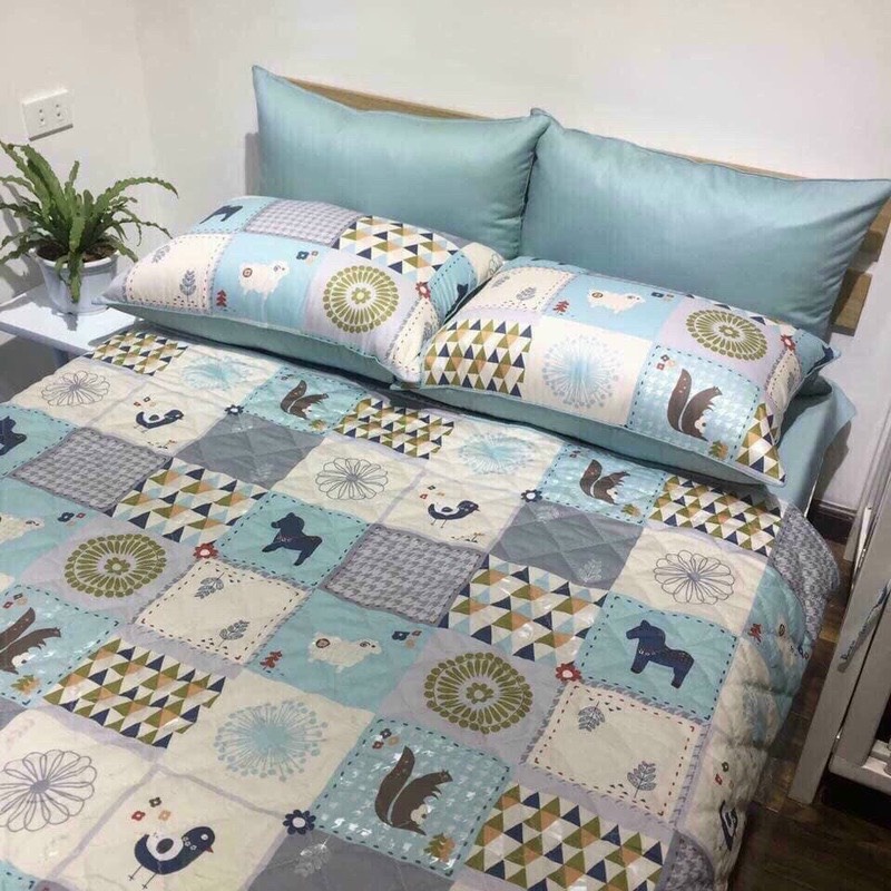 Vỏ Chăn Đông Cotton Lụa Hàn Quốc 2mx2m2 Có Khóa Kéo Lồng Được Ruột Mềm Mịn Mát Dùng Được Cả Cho Mùa Hè
