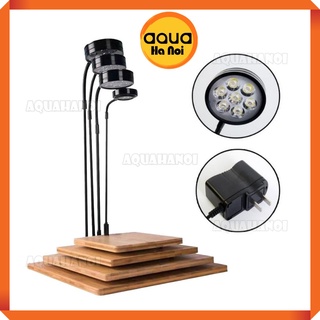 Combo Đèn Led rọi 3/5/7/9W - Đế gỗ kê bể cá thủy sinh, tiểu cảnh bán cạn, terrarium