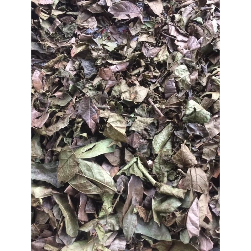 XẠ ĐEN 1ký có sẵn🌿🌿🌿🌿