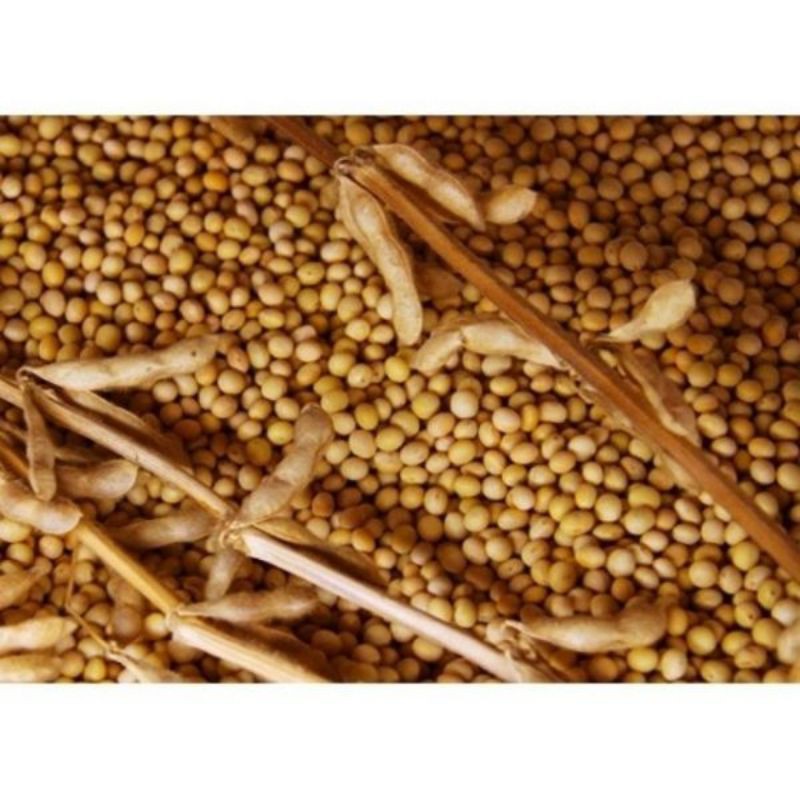 1kg đỗ tương