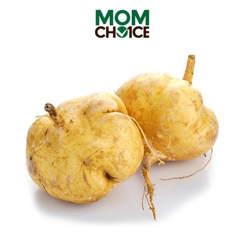 [HCM- RAU CỦ QUẢ] Củ Sắn - 1kg