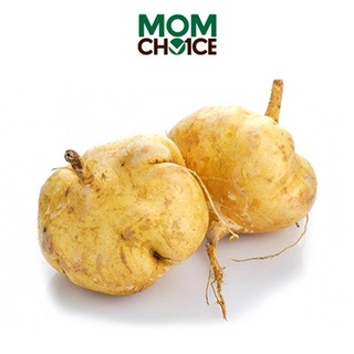 Củ sắn - 1kg