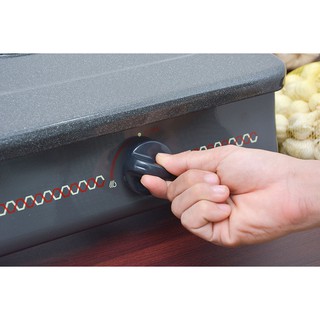 Bếp gas Rinnai RV-287 đôi