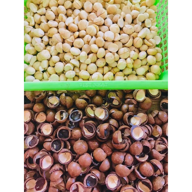 HẠT MACCA LÂM ĐỒNG NỨT VỎ TỰ NHIÊN