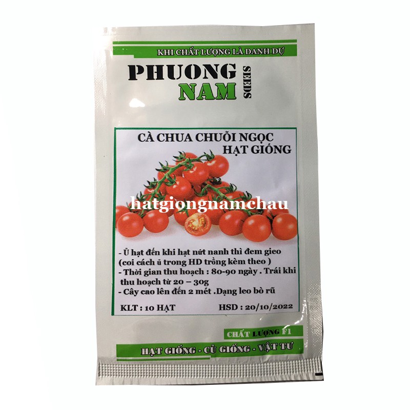 10H - HẠT GIỐNG CÀ CHUA CHUỖI NGỌC F1