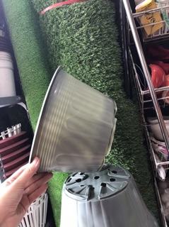 Combo 50  Chậu trồng cây 28*16