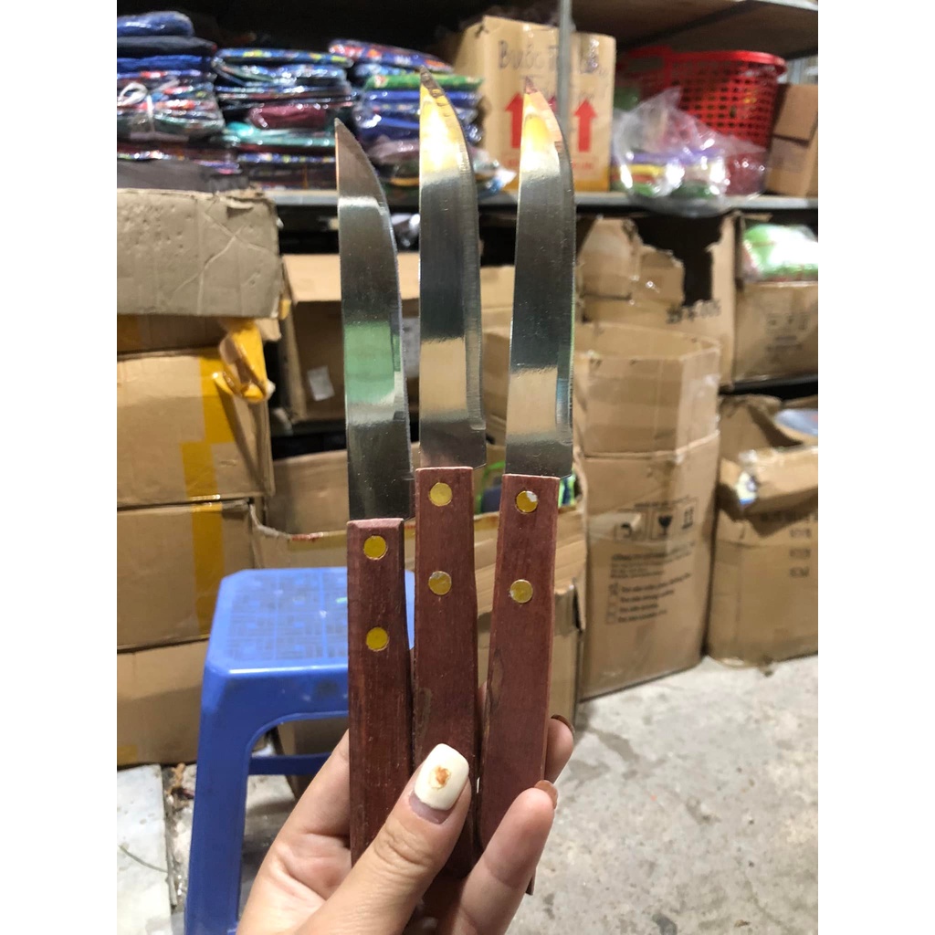 DAO GỌT HOA QUẢ KIWI CÁN GỖ CẦM TAY TIỆN DỤNG