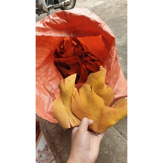 Rễ Cây Nhó đông - VIEM GAN