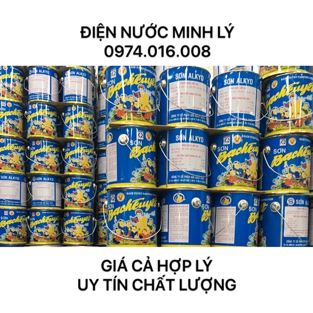 Sơn Dầu Bạch Tuyết Nhiều Màu 0,5Kg,1Kg ,3Kg