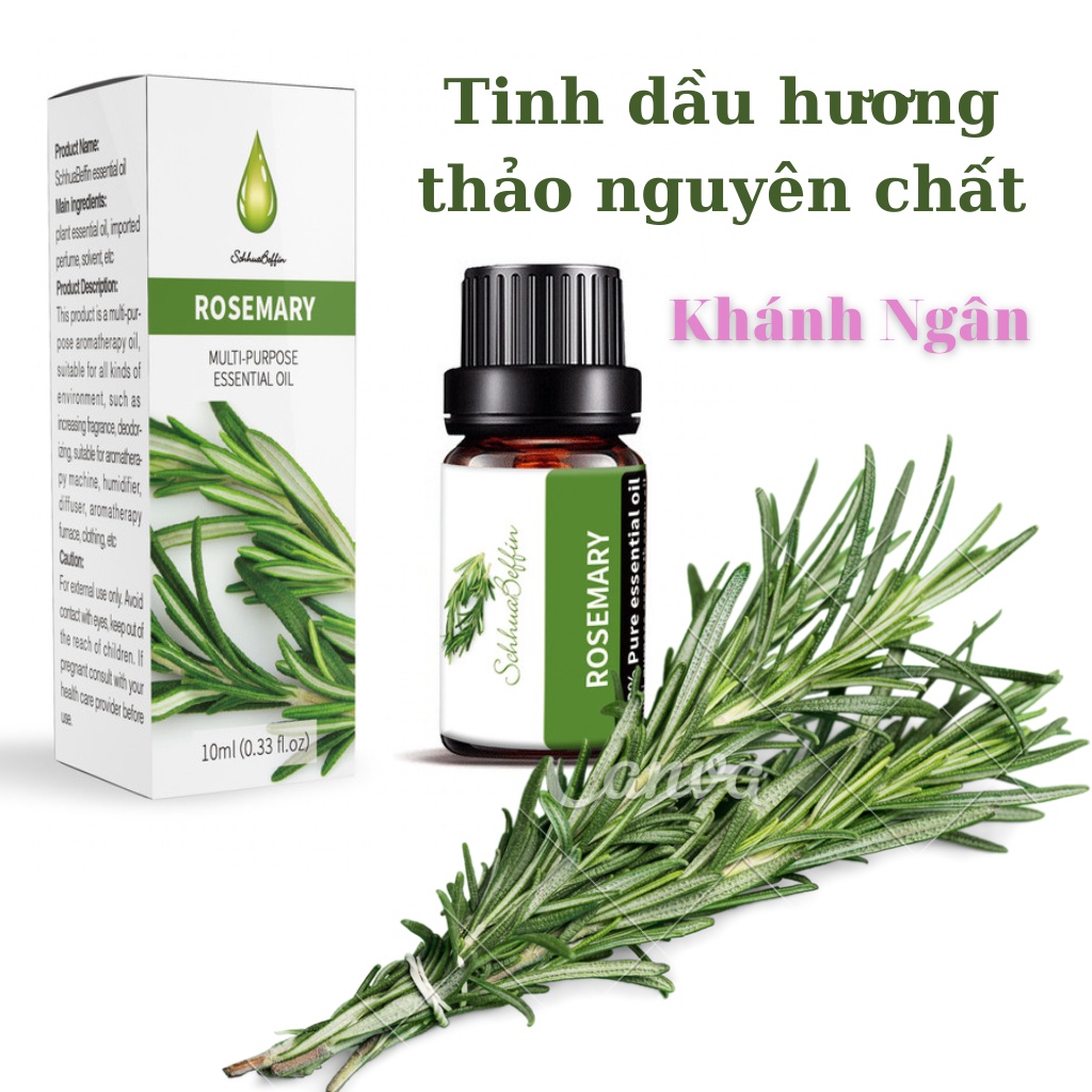 Tinh dầu thiên, tinh dầu thơm thiên nhiên giúp thơm phòng, xả stress, kích thích miễn dịch