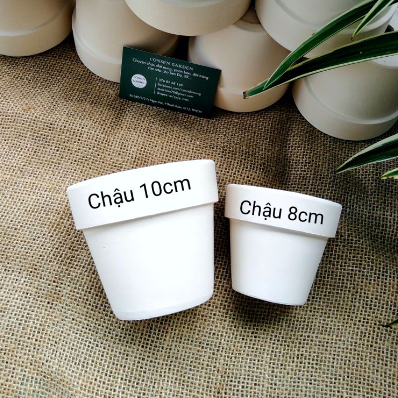 [RẺ VÔ ĐỊCH] COMBO 10 Chậu Đất Nung 10 x 9 cm Trồng Sen Đá, XR và Cây Cảnh