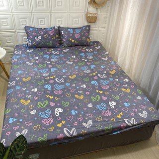 Bộ drap ga gối poly cotton m6/m8 mẫu 2020