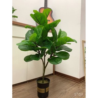 Combo Cây bàng Singapore gỉa cao 1m, có 3 nhánh - Kèm Chậu Nhựa 15cm. Cây cảnh giả trang trí nhà cửa, decor
