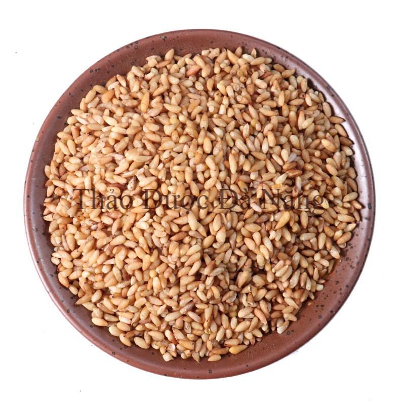 Bá Tử Nhân Loại 1  Sao vàng hạ thổ 100 gram.