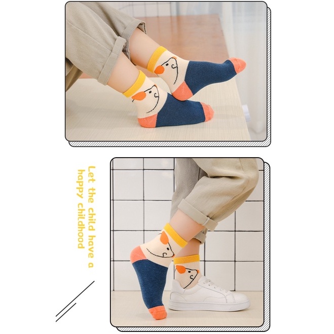 Set 5 đôi tất cho bé từ 1 đến 11 tuổi vớ cao cổ hoạt hình chất cotton nhiều mẫu phong cách 2022