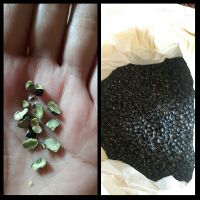 (1kg)Đỗ đen rang xanh lòng hạ thổ