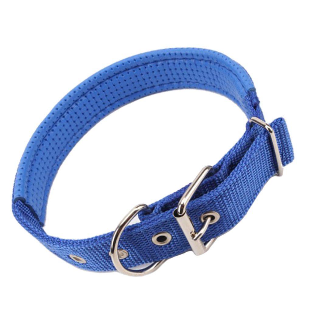 Vòng Cổ Đi DạO, Có Chuông Cho Thú Cưng