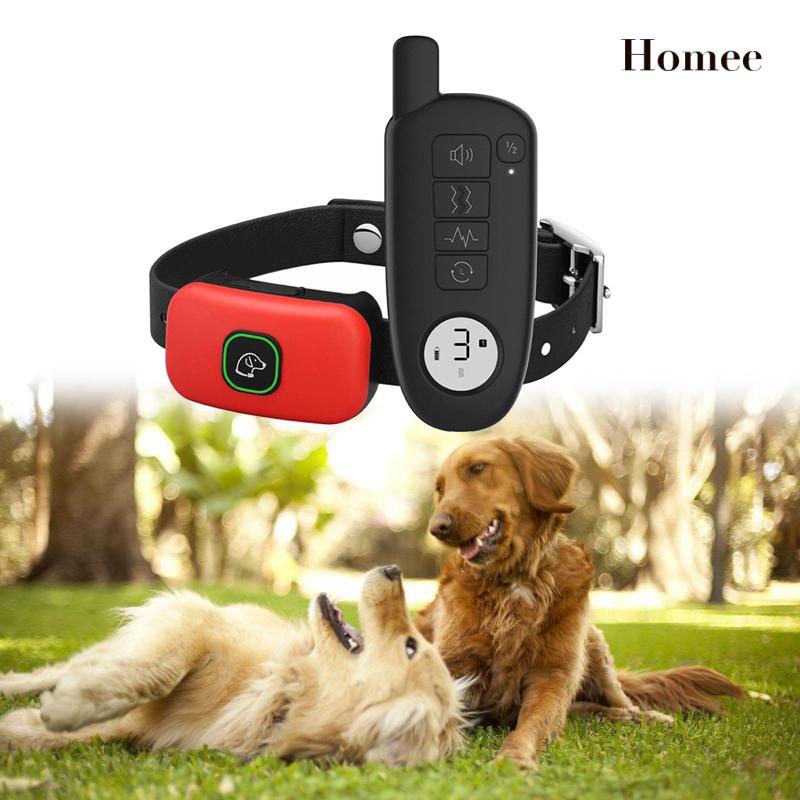 Vòng cổ shock điện huấn luyện cho chó