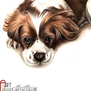 [ARTDOOR] Bút chì than Nâu CRETACOLOR Charcoal (cây lẻ)