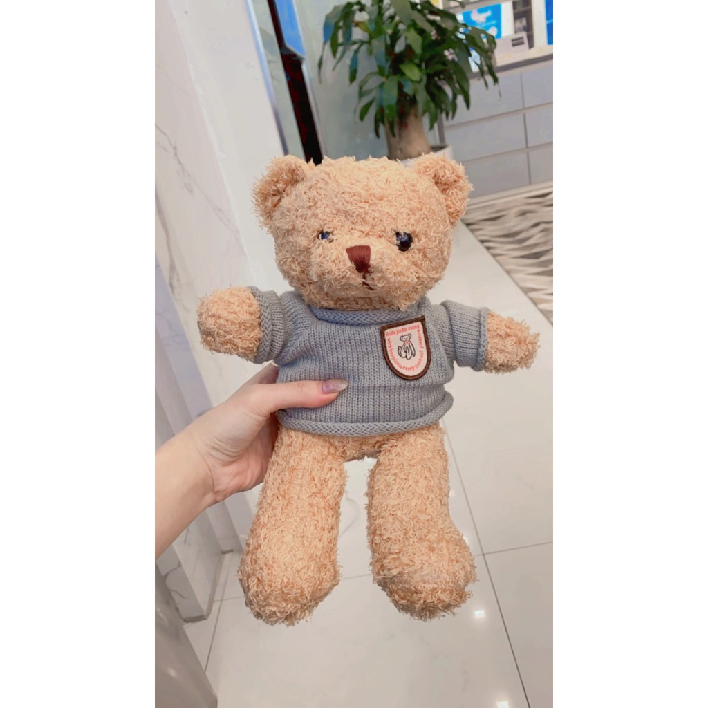 Gấu Bông Teddy Head Tales Nhồi Gòn Cao Cấp Cỡ nhỏ 30 cm  - 40 cm